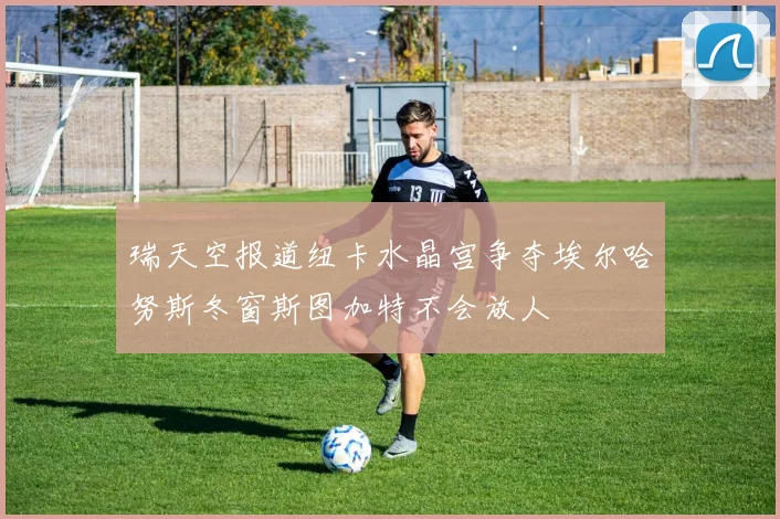 瑞天空报道纽卡水晶宫争夺埃尔哈努斯冬窗斯图加特不会放人