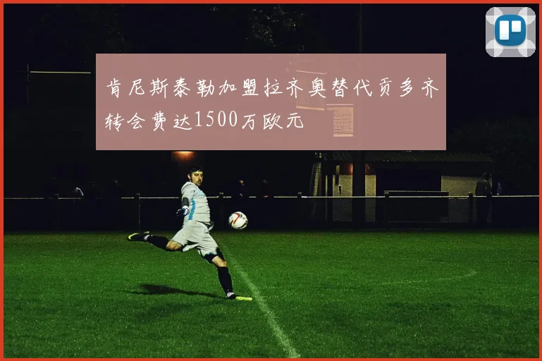 肯尼斯泰勒加盟拉齐奥替代贡多齐转会费达1500万欧元