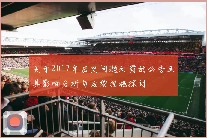 关于2017年历史问题处罚的公告及其影响分析与后续措施探讨